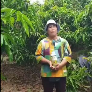 ปุ๋ยน้ำแมกม่า-ลาวา (ชุดใหญ่2ขวด) บรรจุขวดละ1ลิตร สารเสริมประสิทธิภาพ ปุ๋ยทางใบKaideeshop888 ของแท้100% มีเก็บเงินปลายทาง