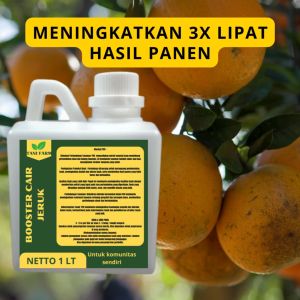 Pupuk Semprot Pelebat Buah JERUK Pupuk Pelebat Buah JERUK Pupuk Penyubur Buah JERUK ZPT