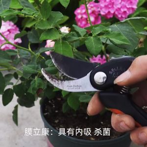 150g Salep Kambium Bonsai Salep Kambium Luka Kulit Batang Pohon Healing Paste Paste Obat Luka Kulit Batang Pohon