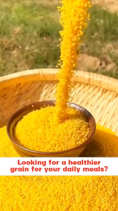 [BUY1 GET1] Premium Sweet Yellow Millet Rice | Halal Certified Healthy Whole Grain High Fiber