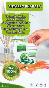 Obat Herbal Premium Pemulihan Stroke - Alami dan Aman Antapro Bharata 100% Original