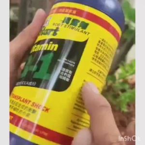 PUPUK VITAMIN B1 TAIWAN - PEMICU TUMBUH AKAR TANAMAN