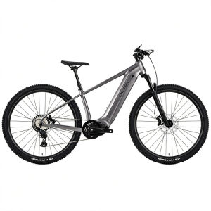 Electric-Assist Long-Range Mountain Bike