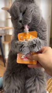 80g Cat Wet Food Tuna Beef Mayonnaise Meat Sauce Moisturizing Nutrition Cat Treats Cat Food Cat Snacks