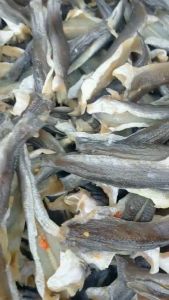 Khô Cá Lóc Đồng Non Phơi Khô Hẳn 3 Nắng Thịt Ngọt Ngon- ĐẶC SẢN MINH TRIẾT