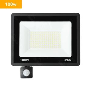 Lamp With Motion Sensor Interior 220V 10W 20W 30W 50W 100W Outdoor Led Flood Light Waterproof Led Spotlight Focus Floodlight