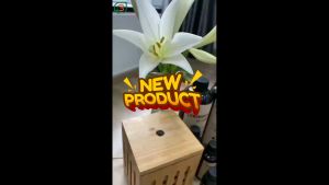 Tinh dầu bạc hà nguyên chất giải cảm thơm phòng kháng khuẩn đuổi muỗi Bình Lam Natural 50ml