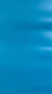 DW SUNSCREEN ORIGINAL BRIGHTENING FAIRYSKIN