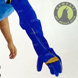 SEMPATI Sarung Tangan Panjang 62 Cm Premium Double Layer Sarung Tangan Anti Cakar Kucing Cat Kitten Anabul Sarung Tangan Latih Burung Anti Gigitan Hewan Reptil Ular Kadal