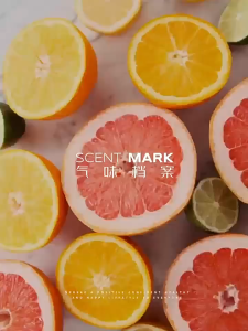 Tinh dầu thơm phòng khuyếch tán 50ml Chillme hương thơm khử mùi thư giãn phòng khách sạn bắc âu