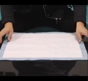 Tã lót chuồng cho Chó Mèo Zen Pet Training Pad 5 lớp Siêu thấm hút khô thoáng kháng khuẩn
