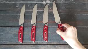 WILDMOK 4 Pcs Damascus Steak Knife Set Japanese Super VG10 Steel Multifunctional Kitchen Knife with Full Tang G10 Handle