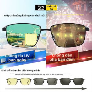 Raydem | Kính Râm Chống Tia UV Cực Tím Cho Lái Xe