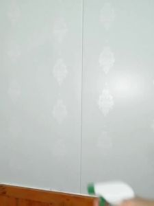 Mistolin | Wood Anti-Mold Spray