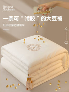High-End Soy Protein Fiber down Comforter Original Cotton Thick Warm Silk Cotton Core Winter Double Person Quilt