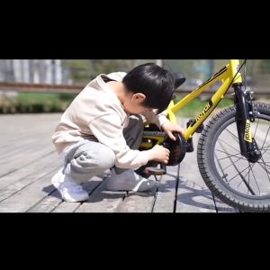 ROYALBABY EZ FREESTYLE 12/16 INCH KIDS BIKES