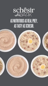 Schesir After Dark Complete and Balanced Wet Food for Adult Cat 80g - Real Meat Fillet Pate Mousse (13 Recipes)