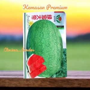 (KEMASAN PREMIUM) BIJI/BENIH SEMANGKA LONJONG JUMBO (isi -+50 butir benih)