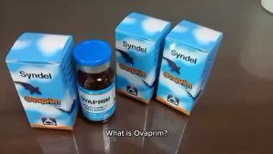 Ovaprim (10ml) ARDA-TEK (M) SDN BHD