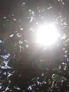 Ready Stock Extended Windshield Snow/Sunshine Cover 5-Layer Protective Car Windshield Snow Sunshine Cover