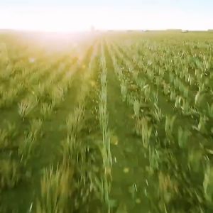 92% Aloe Vera with Vitamin E Soothing Gel | Moisturizing For All Skin | 300ml | Brightening Hydrating Aloe Vera Extracts | Hydrating Acne Spot Removing Face Night Cream Gel