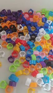 100Pcs 8mm Ring Klip Burung Merpati / Cincin Kaki Merpati / Ring Merpati Plastik
