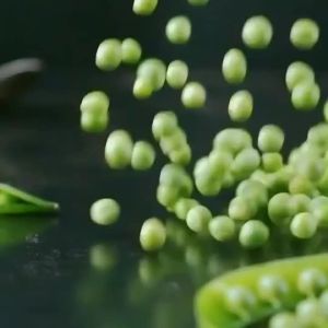 Garlic Green Beans Healthy Nuts & Trail Mix Snack (Seeds) - 100g