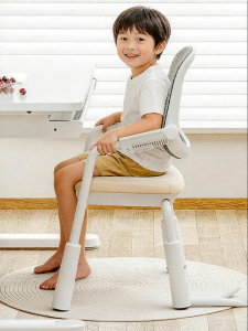 QINGJIE | Adjustable Height Posture Correcting Study Chair