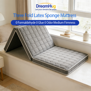 DreamHug 3-Fold Mattress Coconut Coir Natural Latex Single Bed Foldable Tatami Floor Mattres Dorm Small Space