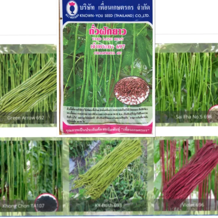เมล็ดถั่วฝักยาว พันธุ์พิเศษ ต้านทานโรค ปลูกได้ตลอดปี
