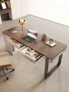 Adult Home Modern Luxurious Computer Desk