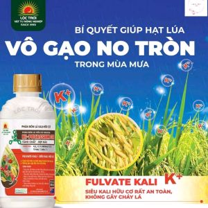 Phân bón hữu cơ siêu KALI Hi-Potassimu C30 cho nhiều loại cây trồng