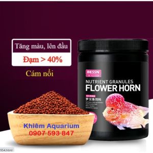 Khoáng núi lửa cho cá rồng (Arowana) La hán Dĩa/Đĩa Cá Săn Mồi Phát triển màu sắcCá sung khỏe Tăng độ bóng vảy