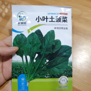 Hạt giống Cải Bó Xôi (rau Bina rau Chân Vịt) dễ trồng nhiều dinh dưỡng - Hoang My food and beauty