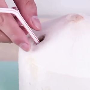 Dita_shop ที่เจาะมะพร้าว สำหรับใส่หลอดดูด พร้อมส่ง อุปกรณ์เจาะมะพร้าว ที่เปิดน้ำมะพร้าว