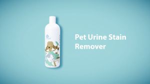 Pet Urine Stain Remover 60ML: A Powerful Urine Odor Eliminator