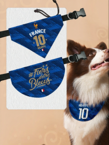 LEXI | Pet Saliva Towel Mbappé France Team Design Triangle Scarf