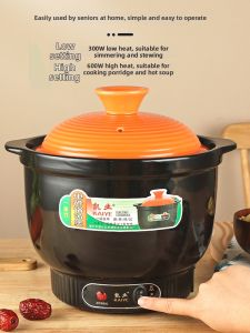 Multifunctional Electrical Porcelain Cooker