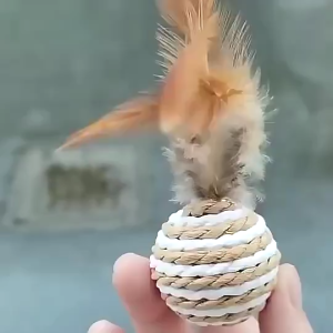 Mani Sisal Rope Cat Ball with Feather / Interactive Cat Scratch Ball Toy Teaser 5CM (3PCS)