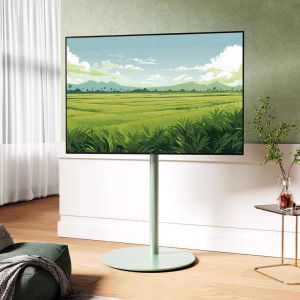 BESSGROUP | Movable Wheeled TV Stand Cart 55/65/75 Inches