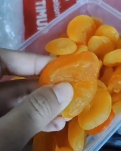 Premium Dried Apricot Large Size Soft & Sweet | Buah Aprikot Kering Turkey 100g/250g/500g/1kg Soft Apricots Avocado Large Big Size Raincoat - Lazada