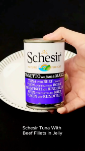 Schesir Cat Can In Jelly / Water 140g | 100% Natural Real Meat & Hydration Recipes - 7 Flavours