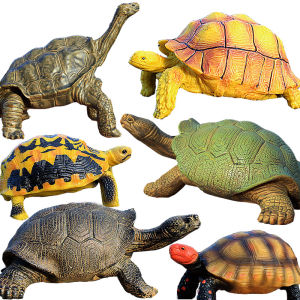 Solid Simulation Tortoise Toy for Kids Educational Gift