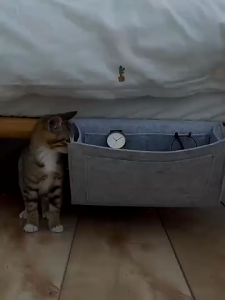 LENZERO Tas Bedside Organizer Sofa Kasur Tempat Tidur Hanging Bag BERKUALITAS