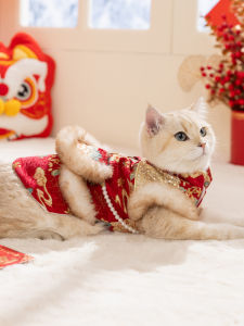 SHENJINGMAO | Festive New Year Cat Dress