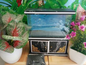 Akuarium mini+KABINET
