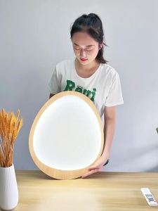 FANZHEN | Zen Creative Wood Ceiling Light