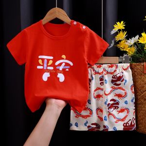 Pure Cotton Childrens Short Sleeve Suit Korean Style Boys Girls Clothes Set Casual round Neck Summer T-shirt for Kids