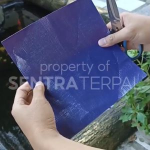 Kolam Terpal Ikan Kotak 100x100x100 / 1x1x1 / Terpal Kolam Import Korea Untuk Budidaya Ikan