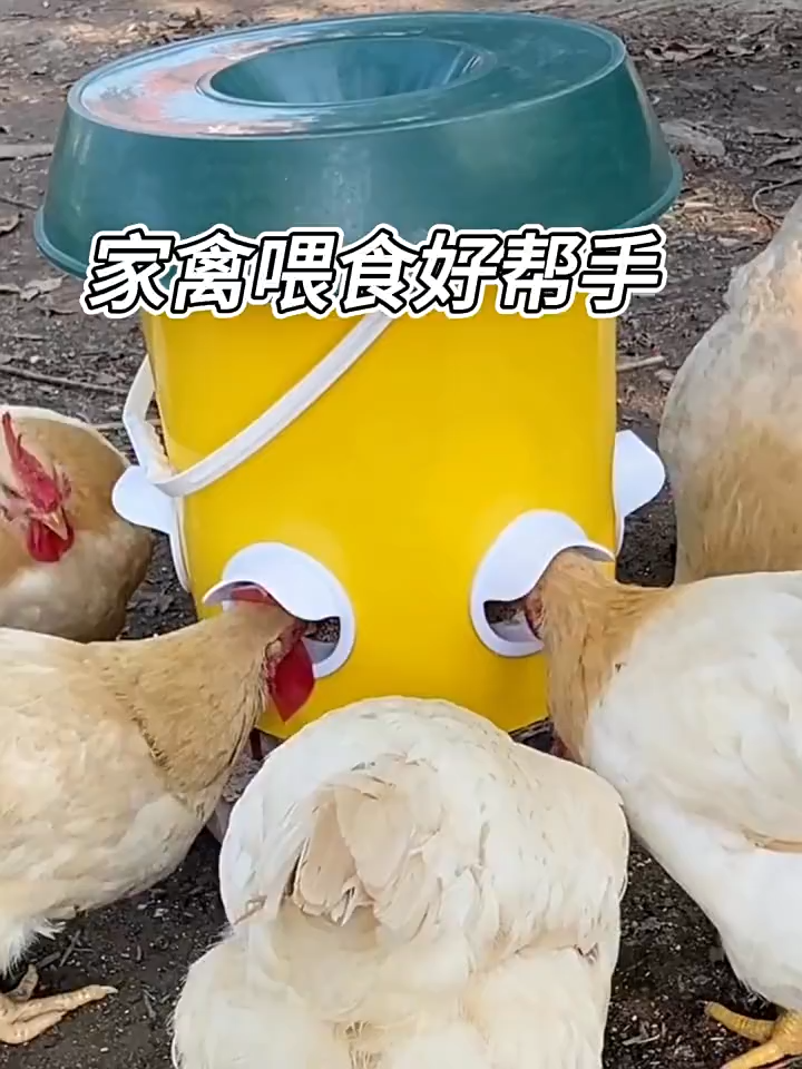 1 ชิ้นไก่ Feeder ถัง DIY กันฝนอัตโนมัติสัตว์ปีก Gravity Feeder  DIY กันฝนสัตว์ปีก  พอร์ตลดการรั่วไหลอาหาร ฟาร์มไก่